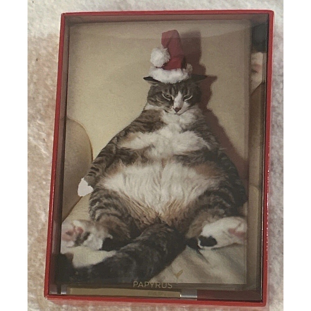 Papyrus Cat With Big Belly Christmas Cards 11 Cards + Red Envelopes